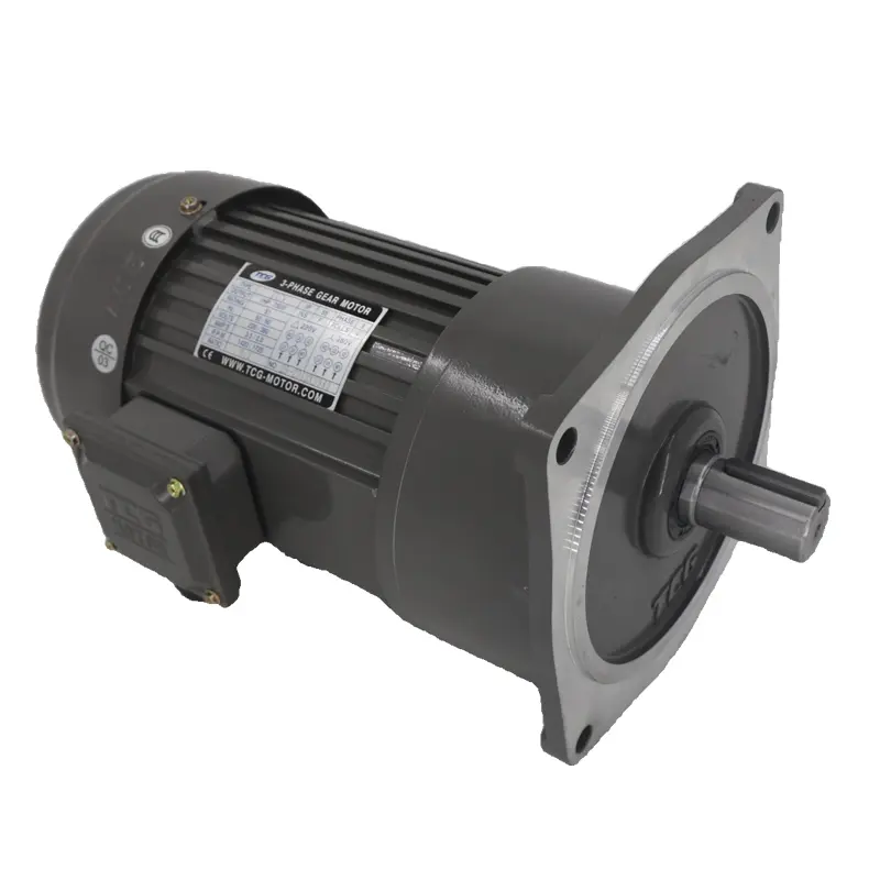 Precauções de instalação e manutenção do TCG (Tai Chuang Gear Motor)