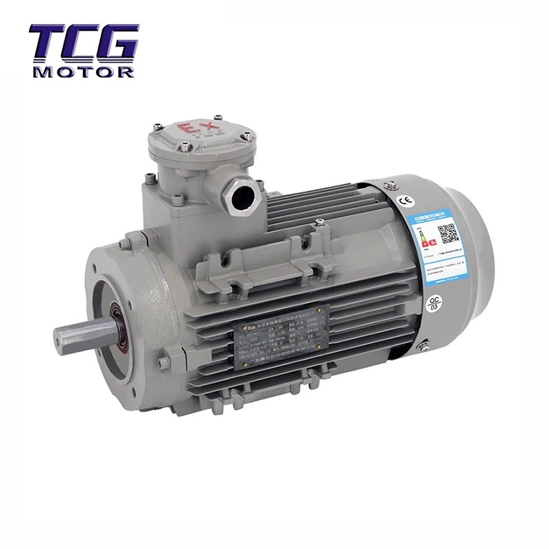 Ex d IIC T4 motor à prova de explosão B14 pequena flange