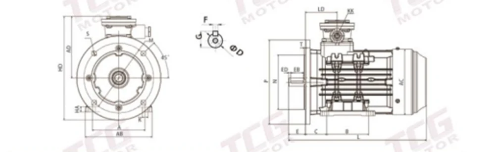 Ex d IIC T4 Explosion Proof Motor B5 Flange Mounted