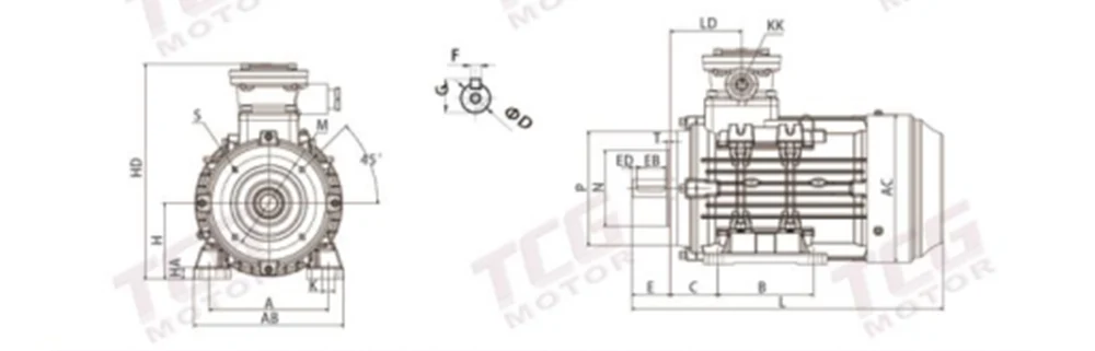 Ex d IIC T4 Explosion Proof Motor B5 Flange Mounted